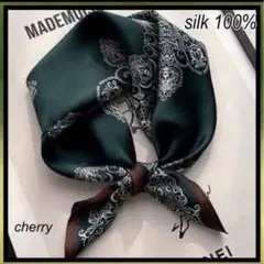 Item thumbnail for item 0b252a9e-402c-4f3a-9d43-a48212bc895a