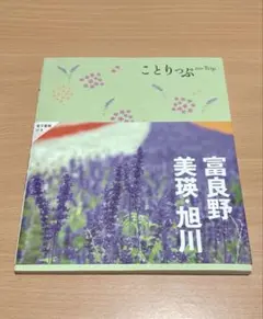 Item thumbnail for item 9d0d6d3b-50d0-42c8-829b-bc49fdc8b6e6