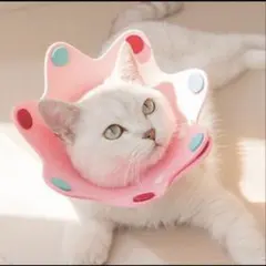 【犬猫兼用】エリザベスカラー　ピンク
