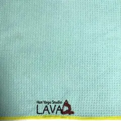 Item thumbnail for item 40a1274e-0a81-494d-8a89-abaca5fff06c