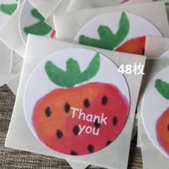 チッチ様 リクエスト 4点 まとめ商品