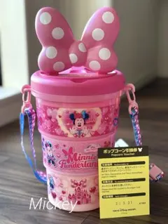 ディズニー　パルパルーザ　ミニーのファンダーランド　ポップコーンバケット