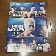 ボクシング　パンフレット　那須川天心　井上拓真のサムネイル