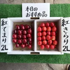 紅てまり 3Lサイズ 1.1kg以上入り特秀◎贈答品にも - メルカリ