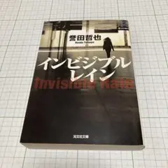 インビジブルレイン