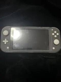 Nintendo Switch Lite グレー 本体 充電器つき