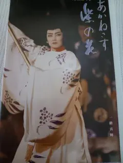 Item thumbnail for item dc6da31b-4f33-4555-a547-cf09f7e798f3