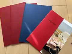 コムデギャルソン　COMME des GARCONS DM 3冊+セールDM