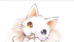 さっちゃん様　ご確認用　フォーム