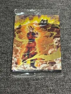 SAM様 リクエスト 3点 まとめ商品