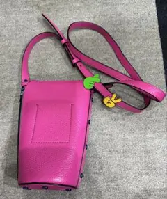 未使用 ECCO（エコー）カスタマイズPOTBAGピンク✖️水色　定価29700円