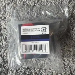 NIKE Air Jordan 1 High 85 ミニチュア　ロイヤル