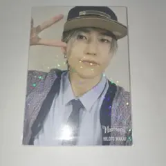 Mrs. GREEN APPLE Harmony 若井滉斗 レア フォトカ