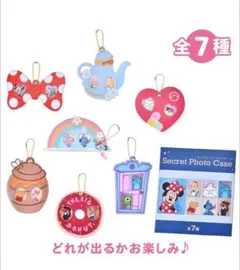 ディズニーキャラクター シークレットカードホルダー カード入り フォトケース