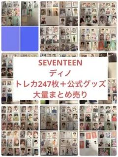 SEVENTEEN ディノ トレカ247枚＋公式グッズ大量まとめ売り