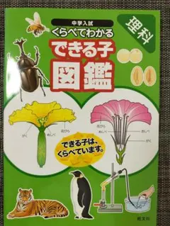 がんちゃん様 リクエスト 2点 まとめ商品