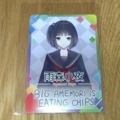 Item thumbnail for item ac8866a6-8504-4c22-9989-d589a25e85ee