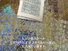 【サルルン様専用】レジン封入 シート大、小セット