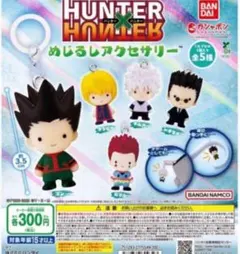 HUNTER×HUNTER めじるしアクセサリー コンプリートセット 5個 全種