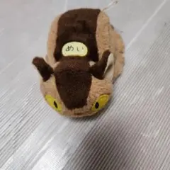 トトロめいちゃん