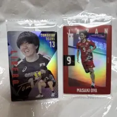 Item thumbnail for item fd095665-4f38-47fd-929f-2eb049ca55f7