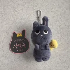 RIIZE ウォンビン バレンタイン 10cm ドール キーリング ぬいぐるみ