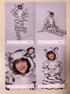櫻坂46 大園玲 どうぶつ着ぐるみ 生写真 4種コンプ