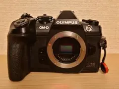 2026年最新】om-d e-m1 mark iii ボディの人気アイテム - メルカリ