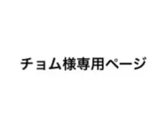 チョム様専用ページ