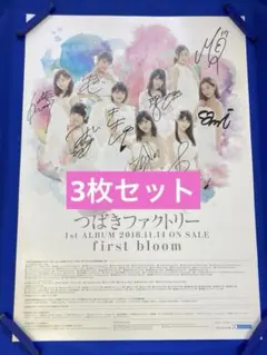 つばきファクトリー 全員サイン入りポスター - メルカリ