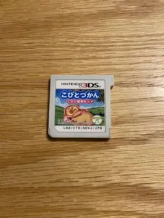 こびとづかん こびと観察セット 3DS ソフト