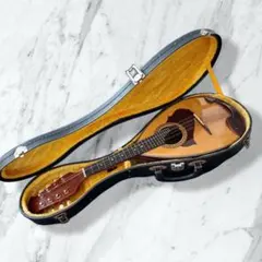 Item thumbnail for item 7a271a70-a27d-47ad-a461-43c96d9984b6