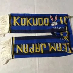 Item thumbnail for item 702ca932-7790-4e46-8531-48abdf1b9d74