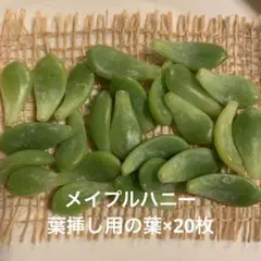 ゾゾ助様 リクエスト 2点 まとめ商品