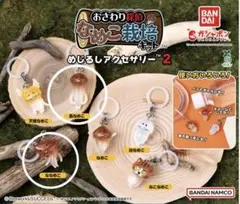 なめこ栽培キット　めじるしアクセサリー2 ①