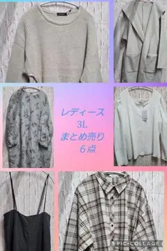 処分価格　春物メイン　まとめ売り　3Lサイズ　６点