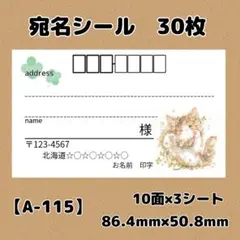 【A-115】宛名シール30枚/サンキュー/ケア/ほんのきもち/差出人/配達員