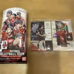 バレーボール男子日本代表 ツインウエハース 2026 宮浦健人