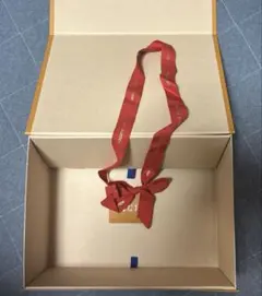 LOUIS VUITTON ヴィトン ショルダーバック用　空箱　正規品