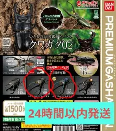 いきもの大図鑑 クワガタ02 エラフスホソアカクワガタ グリーン ブルー セット