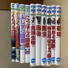 小学館の図鑑NEO 10冊セット