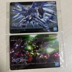 ガンダムSEEDFREEDOM ガンプラパッケージアートグミ