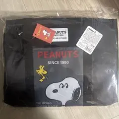 スヌーピー 保冷温レジカゴバッグ