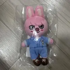 Stray Kids スタジアム チャンビン skzoo エコパ ぬいぐるみ Stray Kids Tour dominATE JAPAN Ecopa Stadium FIGURE SOFT TOY