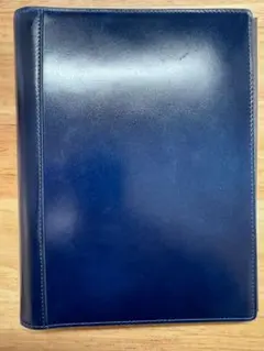 Item thumbnail for item bbba22f6-9cc0-4d8f-b5b4-ced37eccc29a