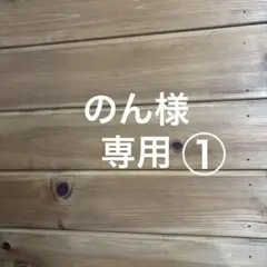 のん様専用①