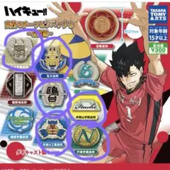 ハイキュー!! ピンバッジ セット