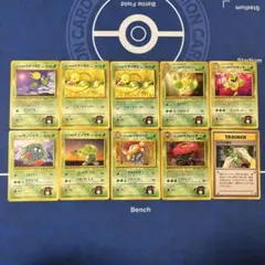 旧裏 エリカのポケモン ★ ジム拡張第1弾 リーダーズスタジアム