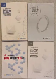 算数バックアップテキスト 小6 早稲アカ 中学受験 - メルカリ
