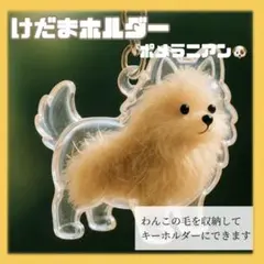 毛玉ホルダー　犬 ポメラニアン　メモリアルキーホルダー　ポメ　わんこ　小型犬